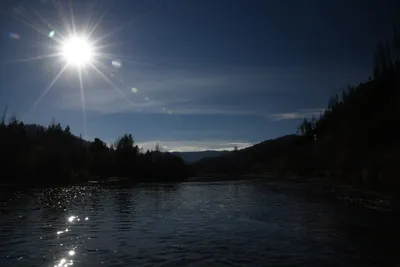 DSC_0276 (Large).JPG